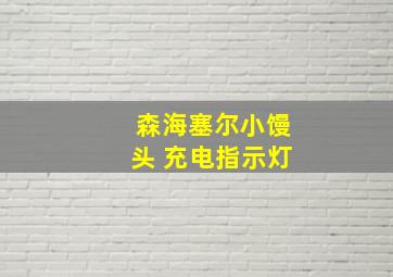 森海塞尔小馒头 充电指示灯